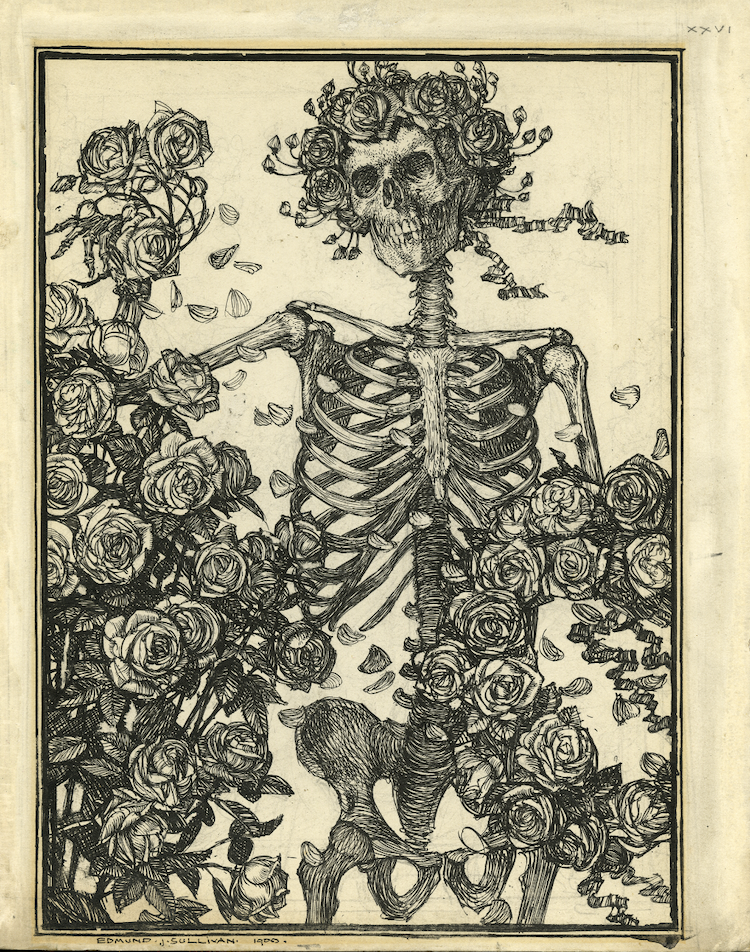 Edmund J. Sullivan A Skeleton Amid Roses, 1900 Ink on illustration board 9.5 x 7.25 inches